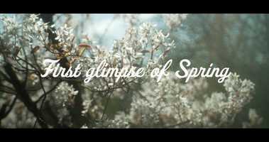 Free download First Glimpse of Spring 4K - Vintage Lens Shootout | Helios  Beroflex | Sony FX6 [Short, Gear] video and edit with RedcoolMedia movie maker MovieStudio video editor online and AudioStudio audio editor onlin